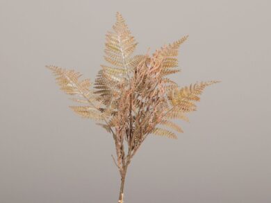 Fern-Calocephalus Bund x2, cena za balíček, 60cm, plast, hnědá, ks  (ZDP-52748)