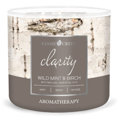 Svíčka AROMATHERAPY 0,41 KG WILD MINT & BIRCH, aromatická v dóze, 3 knoty  (ZGC-AC151184)