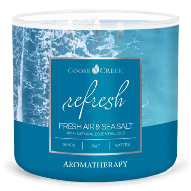 Svíčka AROMATHERAPY 0,41 KG FRESH AIR & SEA SALT, aromatická v dóze, 3 knoty  (ZGC-AC151185)