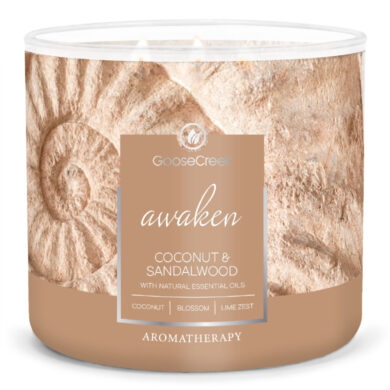 Svíčka AROMATHERAPY 0,41 KG COCONUT & SANDALWOOD, aromatická v dóze, 3 knoty  (ZGC-AC15855)