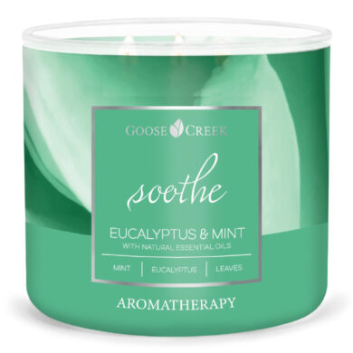 Svíčka AROMATHERAPY 0,41 KG EUCALYPTUS & MINT, aromatická v dóze, 3 knoty  (ZGC-AC15856)