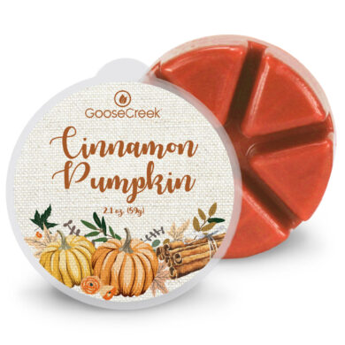 Vosk CINNAMON PUMPKIN, 59g , do aroma lampy  (ZGC-EW1390)