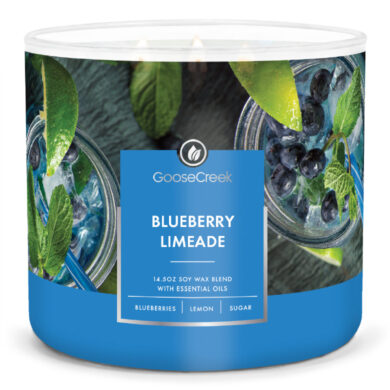 Svíčka 0,41 KG BLUEBERRY LIMEADE, aromatická v dóze, 3 knoty  (ZGC-GC15473)