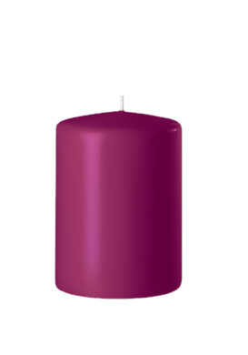 Svíčka SAFE CANDLE pr.4x6cm, erika, balení 24ks  (ZWE-8TR60402475)