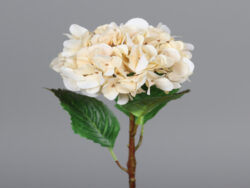 Květina Hortenzie, krémová, 54cm