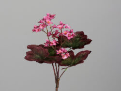Květina Haychera, růžová, 42cm